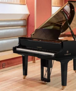 YAMAHA DC1X ESNT PE