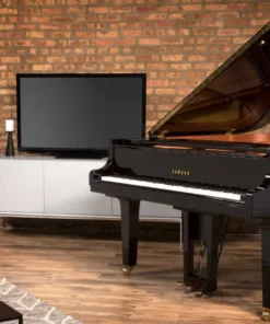 YAMAHA DGC2 ESNT PE