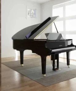 YAMAHA DGC2 ESNT PE