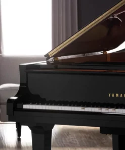 YAMAHA DGC2 ESNT PE