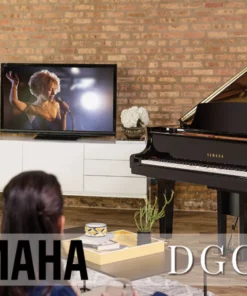 YAMAHA DGC2 ESNT PE