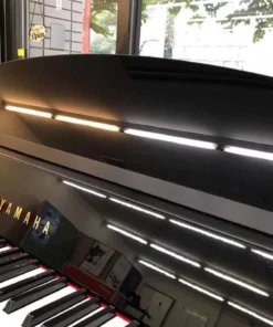 YAMAHA DGP-5