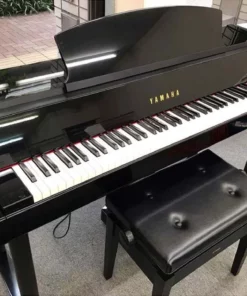 YAMAHA DGP-5