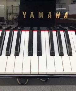 YAMAHA DGP-5