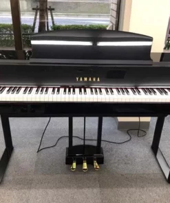 YAMAHA DGP-5
