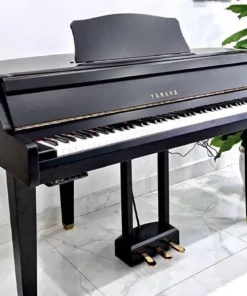 YAMAHA DGP1