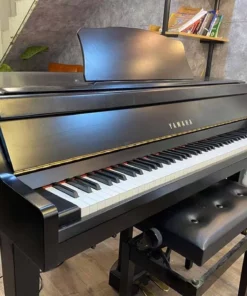 YAMAHA DGP1