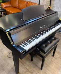 YAMAHA DGP1