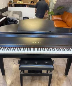 YAMAHA DGP1