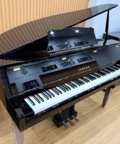 YAMAHA DGP2 XG