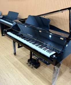 YAMAHA DGP2 XG