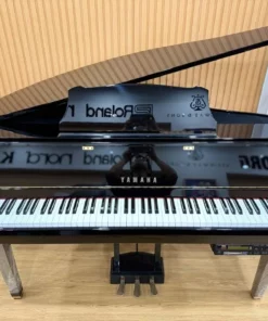 YAMAHA DGP2 XG