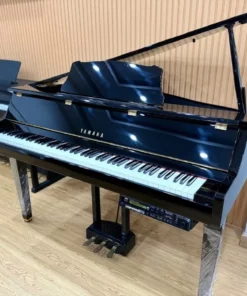YAMAHA DGP2 XG