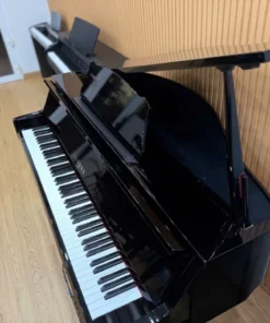 YAMAHA DGP2 XG