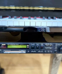 YAMAHA DGP2 XG