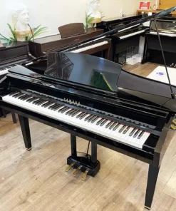 YAMAHA DGP7