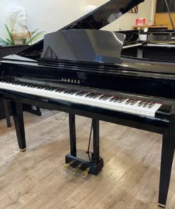 YAMAHA DGP7
