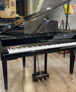 YAMAHA DGP7