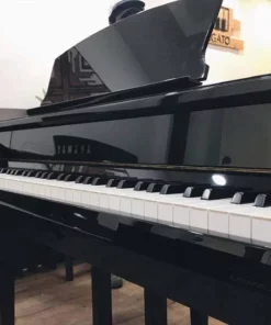 YAMAHA DGP7