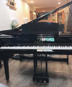 YAMAHA DGP7