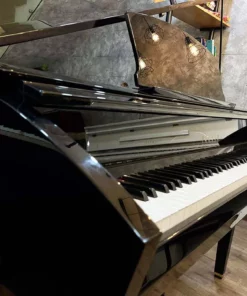 YAMAHA DGP7