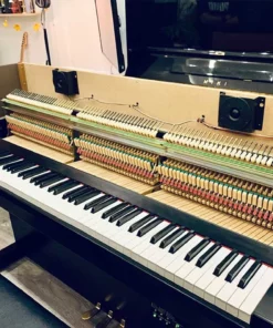 YAMAHA DUP-10 PE