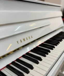 YAMAHA DUP-20 WH