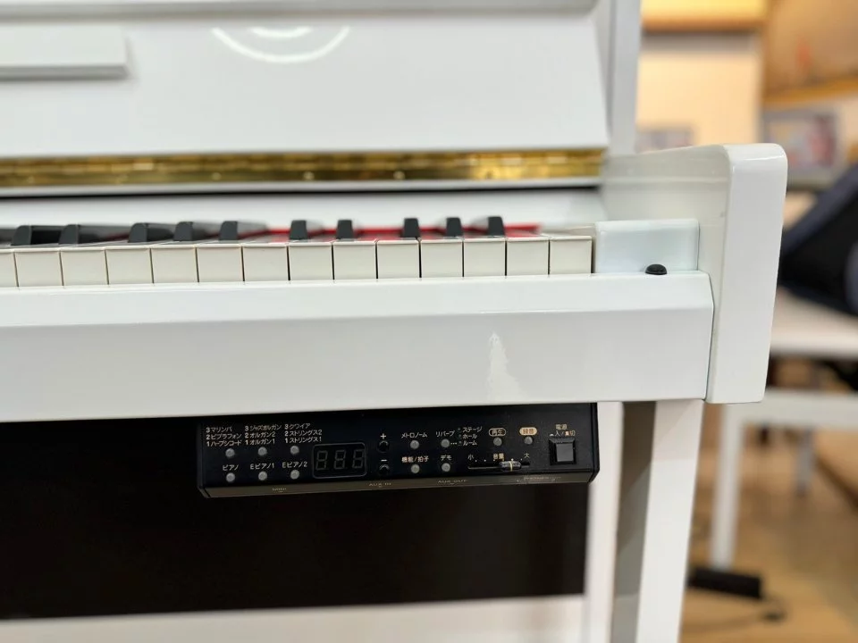 YAMAHA DUP-20 WH