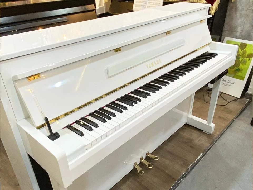 YAMAHA DUP-20 WH