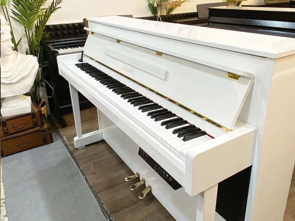 YAMAHA DUP-20 WH