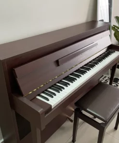 YAMAHA DUP-5