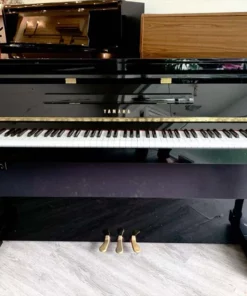 YAMAHA DUP-22 PE