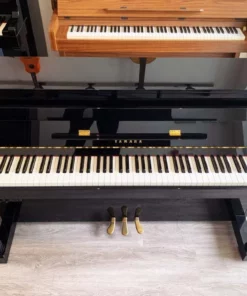 YAMAHA DUP-22 PE