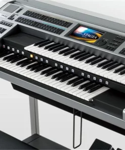 YAMAHA ELS-02C (New)