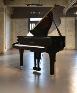 YAMAHA G1 PE