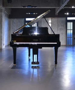 YAMAHA G1 PE