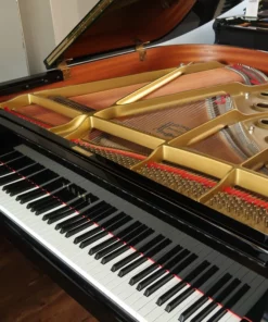 YAMAHA G1 PE