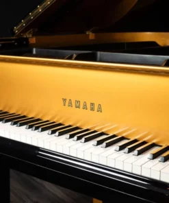 Yamaha G2 Black & Gold Polyester