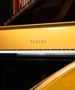 Yamaha G2 Black & Gold Polyester