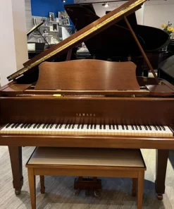 YAMAHA G2 Wn