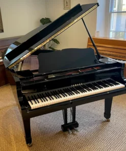 YAMAHA G2