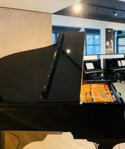 YAMAHA G2A