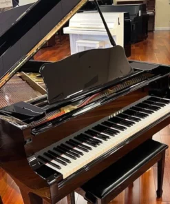 YAMAHA G2E