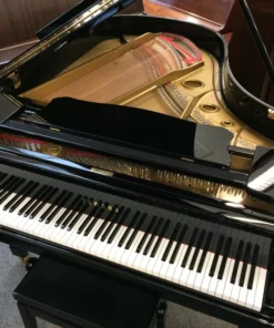 YAMAHA G3