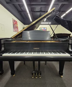 YAMAHA G3 Special