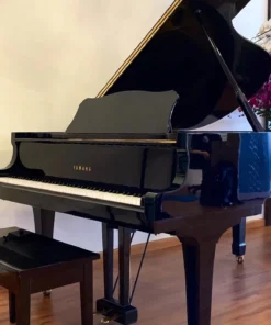 YAMAHA G5E