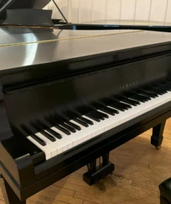 YAMAHA G5E