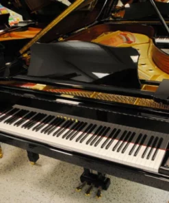 Yamaha G7