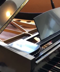 Yamaha G7