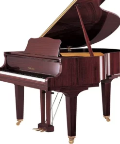 YAMAHA GB1K PM